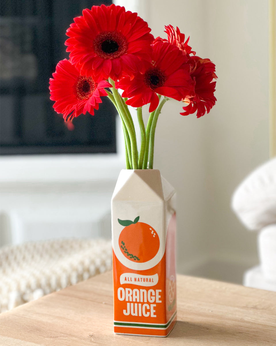 Orange Juice Vase  Flower vases, Juice carton, Apartment decor inspiration