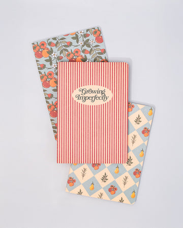 stacked set of 3 pocket notebooks: red vertical stripes with cream circle that says 'growing imperfectly', blue and cream diamond with fruit print, and light blue strawberry and tomato print