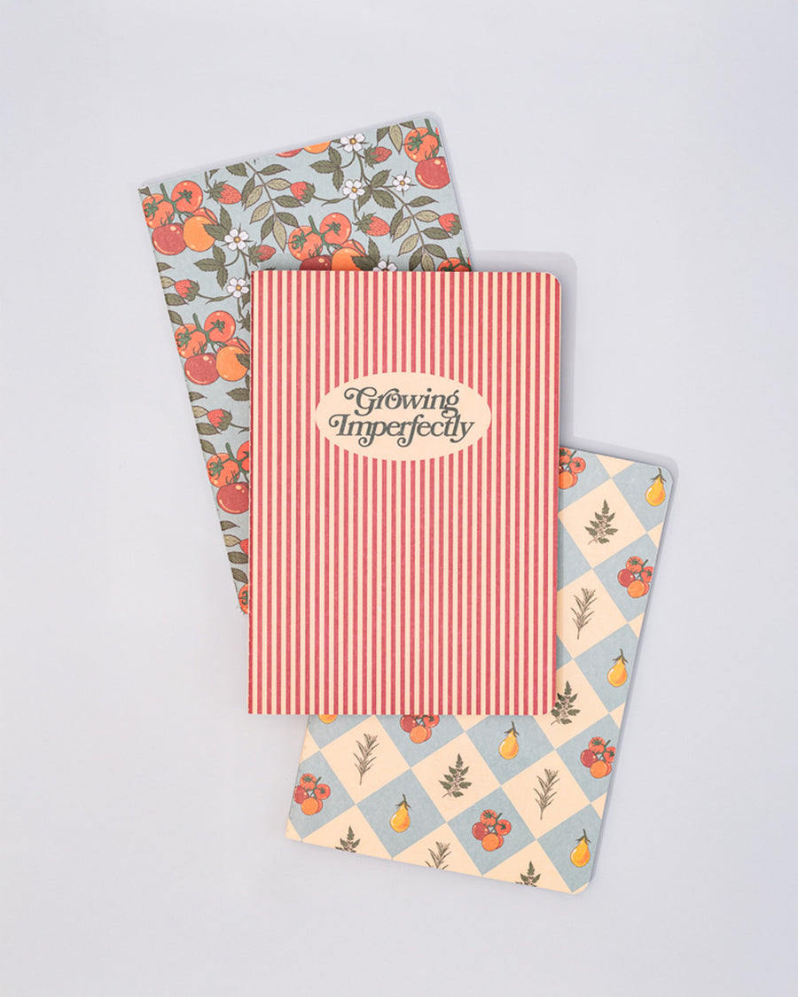 stacked set of 3 pocket notebooks: red vertical stripes with cream circle that says 'growing imperfectly', blue and cream diamond with fruit print, and light blue strawberry and tomato print