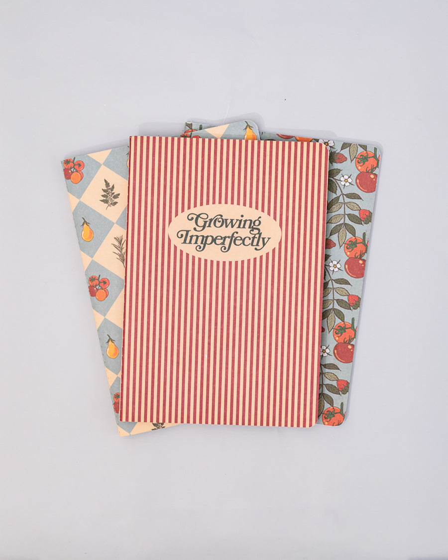 fanned out set of 3 pocket notebooks: red vertical stripes with cream circle that says 'growing imperfectly', blue and cream diamond with fruit print, and light blue strawberry and tomato print