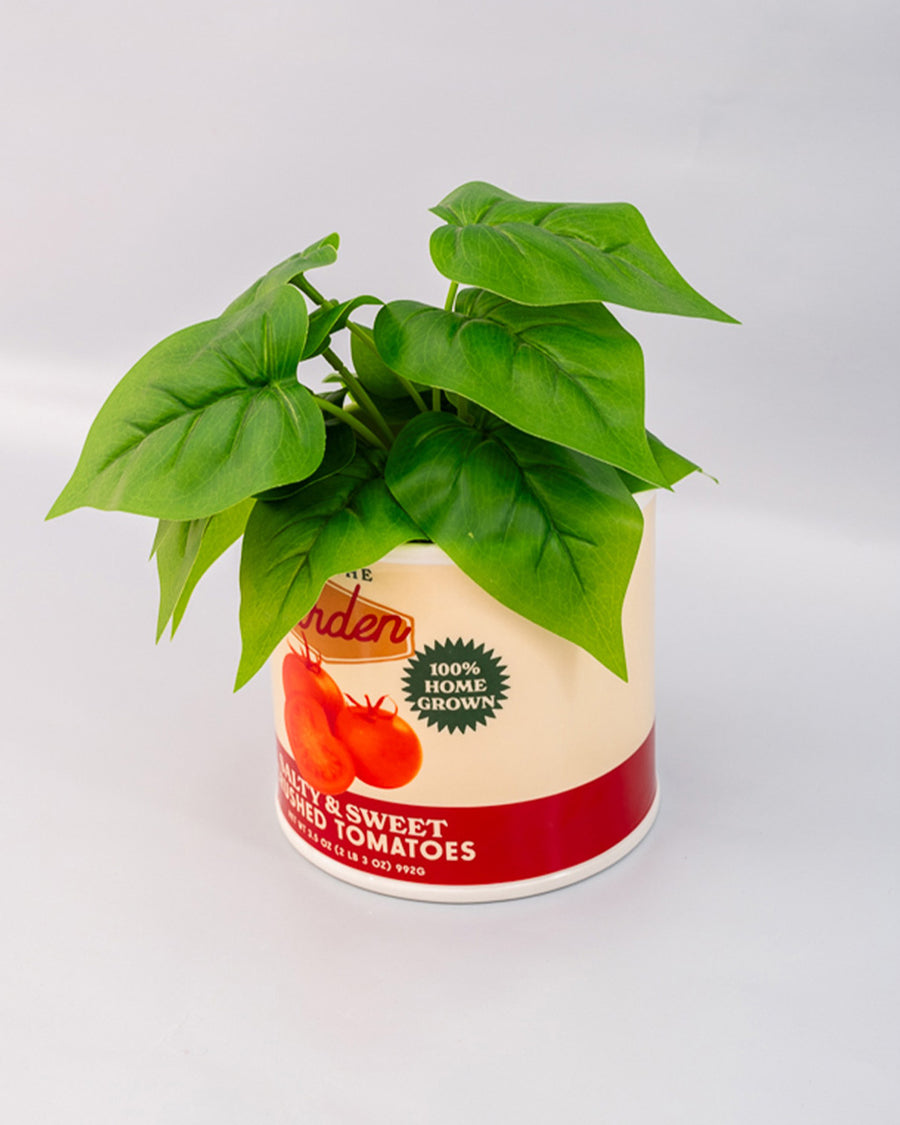 top view of cream tomato can ceramic planter with 'from the garden, 100% home grown" and 'salty & sweet crushed tomatoes' label and plant inside