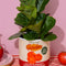 cream tomato can ceramic planter with 'from the garden, 100% home grown" and 'salty & sweet crushed tomatoes' label and plant inside with a plant inside