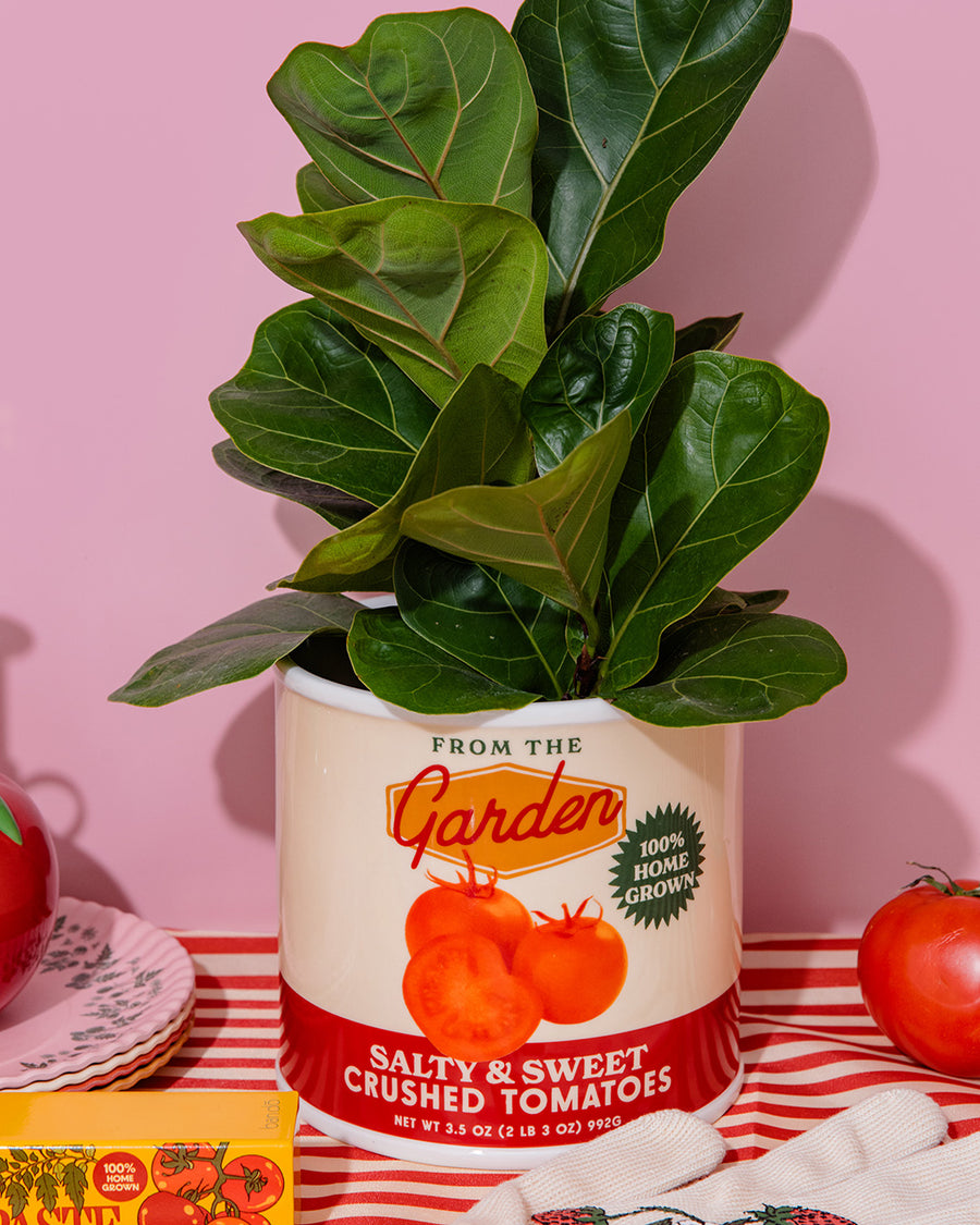 cream tomato can ceramic planter with 'from the garden, 100% home grown" and 'salty & sweet crushed tomatoes' label and plant inside with a plant inside