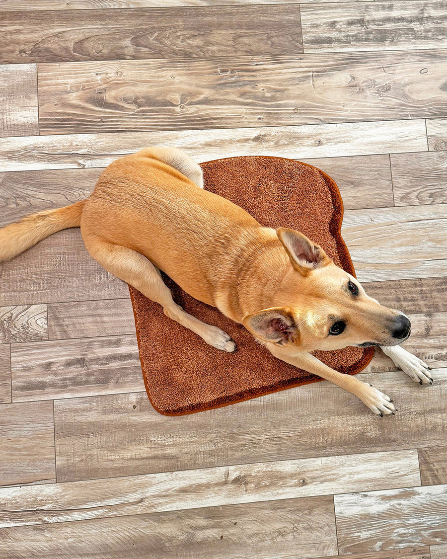 dog sitting on toast and butter shaped throw rug