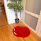 large red beefsteak tomato throw rug