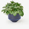 blue cylinder shaped vase with plant inside