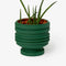 green ribbed planter with saucer with plant inside