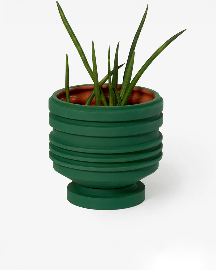 green ribbed planter with saucer with plant inside