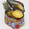 pineapple in puffy lunch bag with joe cool and red and yellow floral print