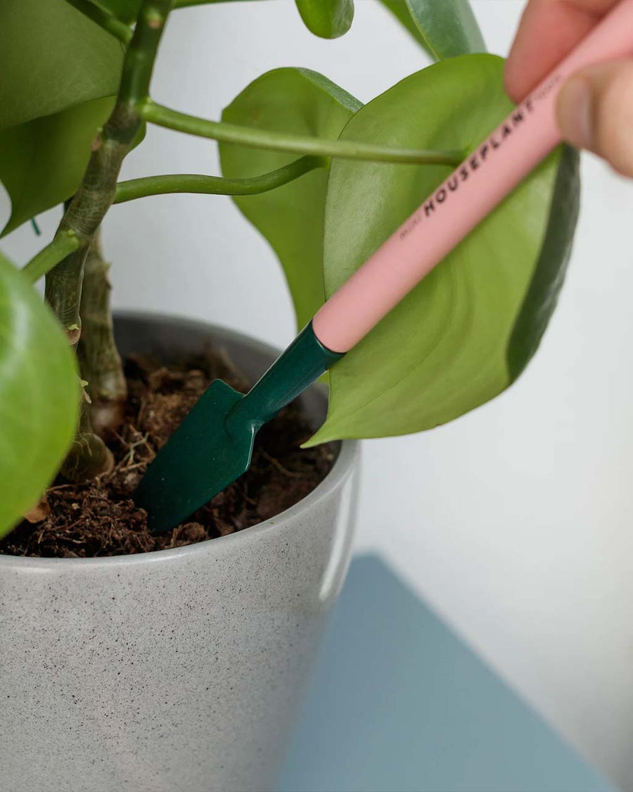 model using set of 3 pink mini houseplant tools set