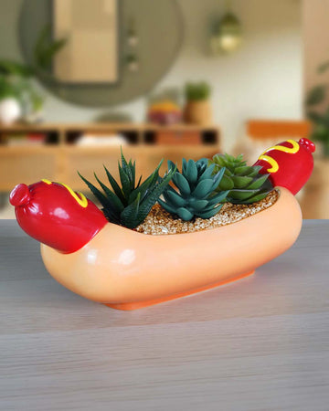 hot dog shaped planter filled with three succulents