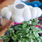 top view of white cloud shaped houseplant waterer in a potted plant