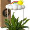 white cloud shaped houseplant waterer with sun and rainbow charm in a potted plant