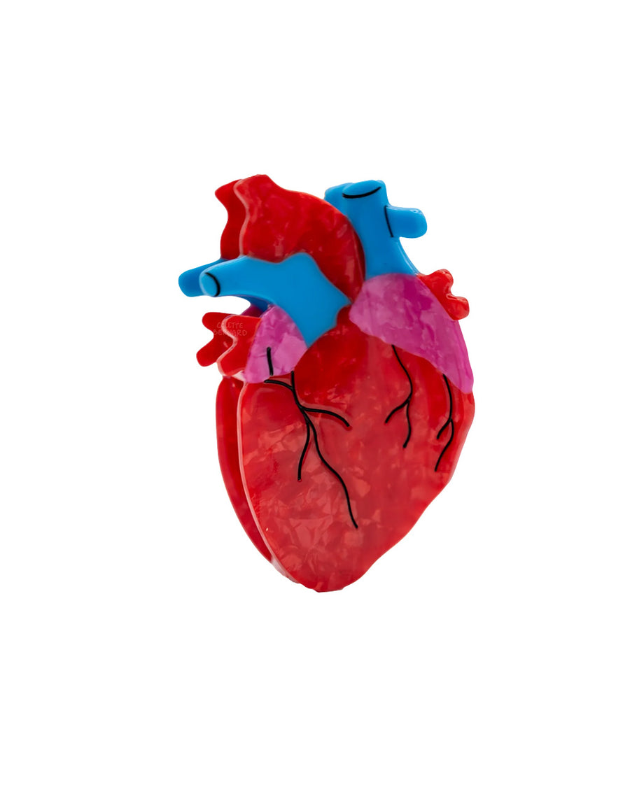 anatomical heart hair claw