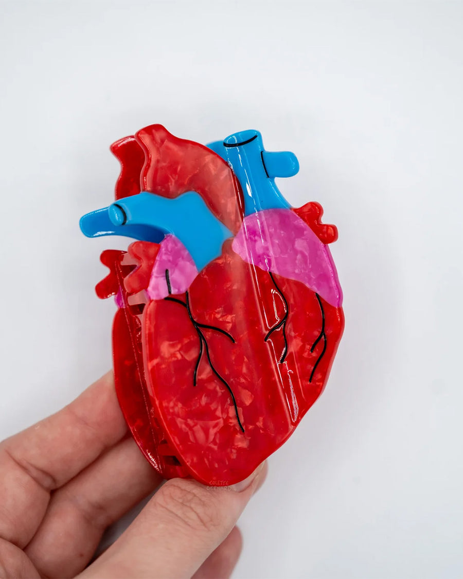 model holding anatomical heart hair claw