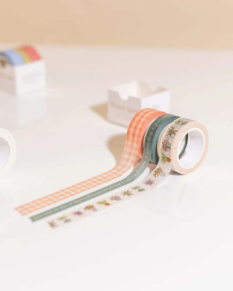 unrolled set of three rolls of washi tape features a roll of pink gingham, &nbsp;playful descriptors, and potted plant design.