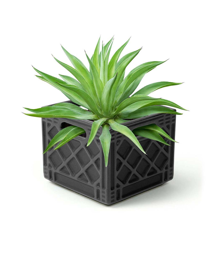 ceramic dark grey milk crate planter with plant inside