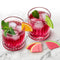 set of 6 fruit slice drink markers on drinks