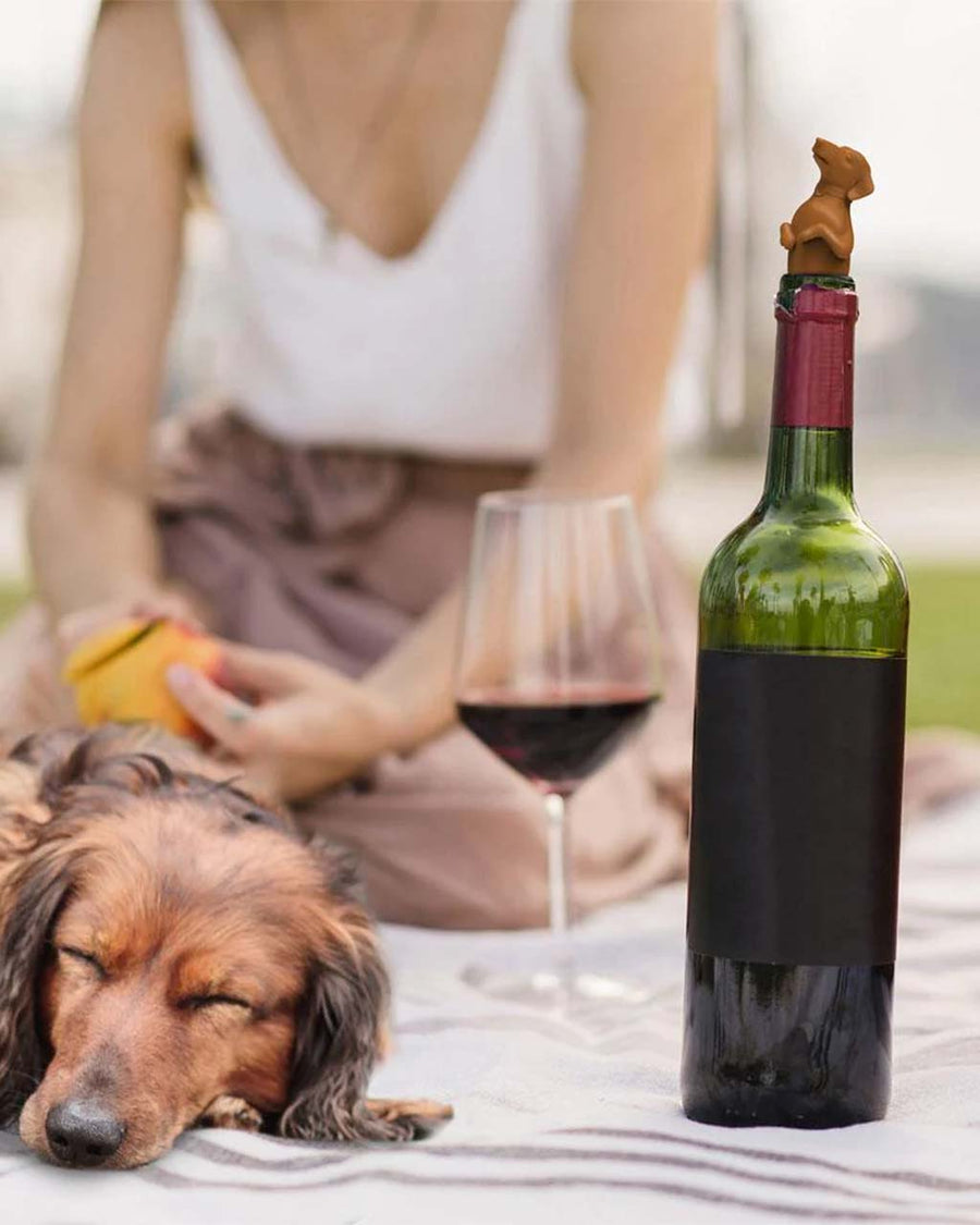 model picnicking with brown dog wine bottle stopper and dog sleeping next to her