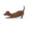 brown dog corkscrew