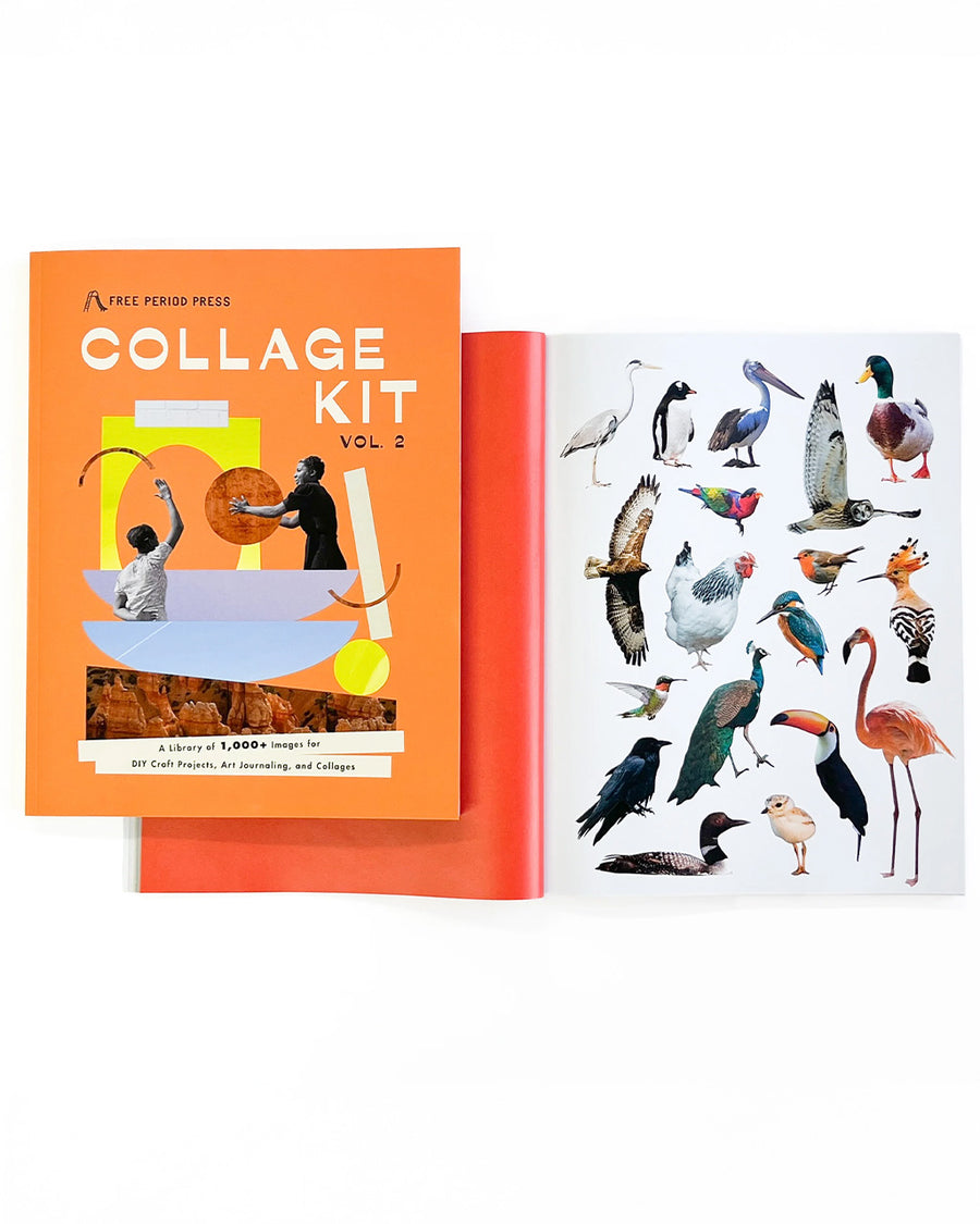 interior bird images in collage kit vol. 2 book