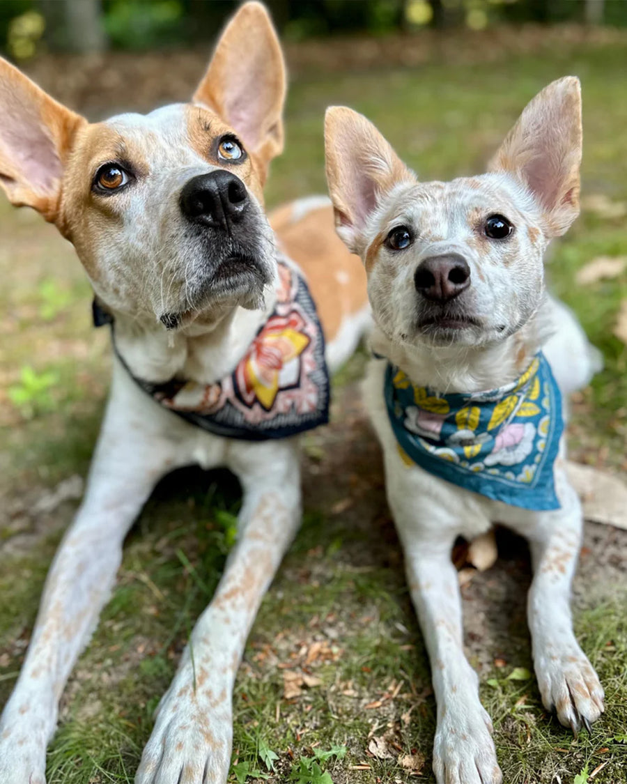 two dogs wearing navy square bandana with yellow and mauve boho floral print