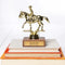 'this ain't my first rodeo' gold trophy on a stack of books