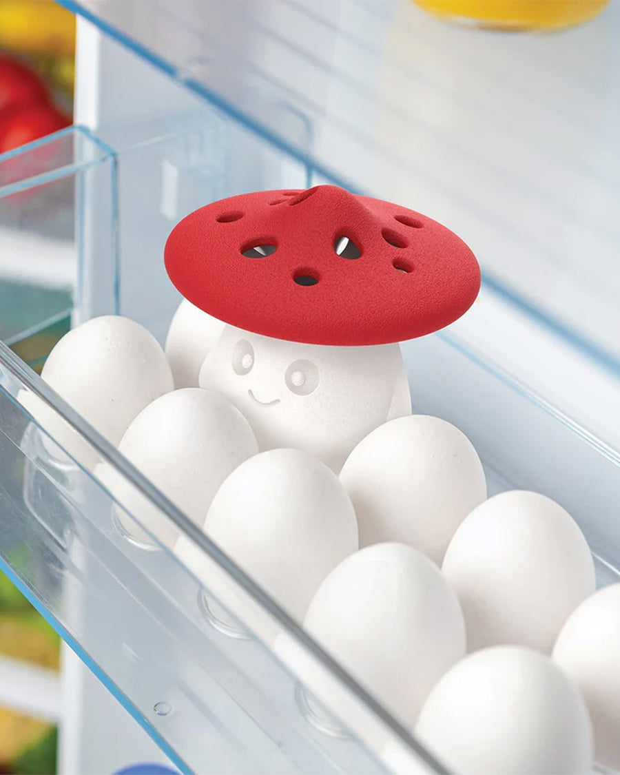 red and white mushroom fridge odor absorber inside of fridge