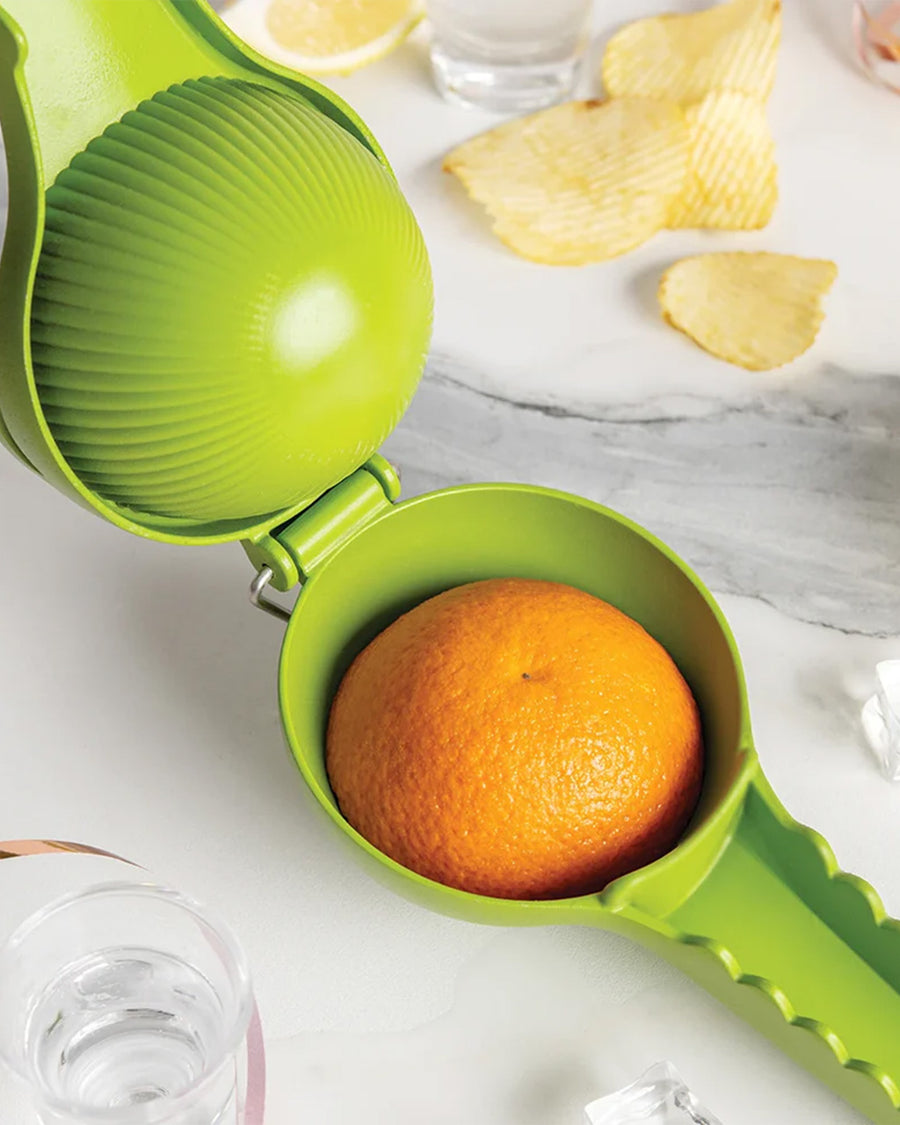 orange inside of alligator citrus squeezer