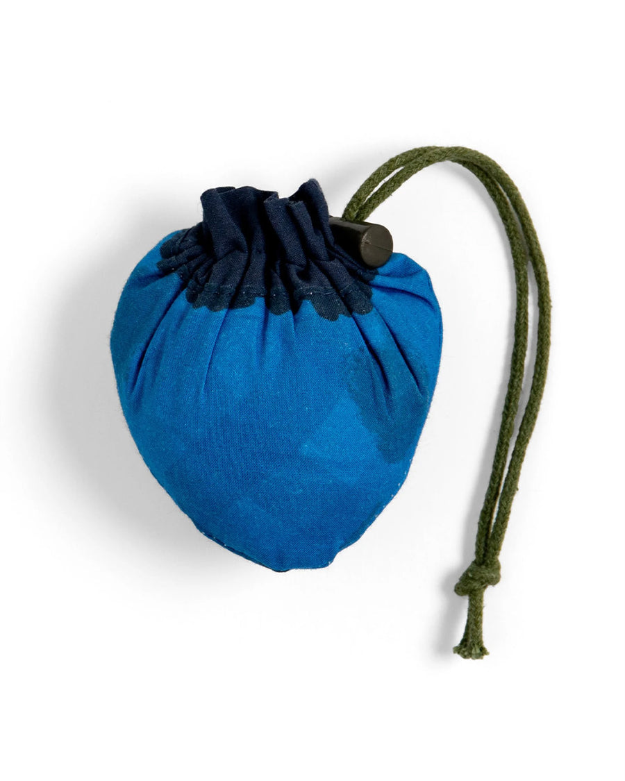 packed blue gingham market bag with green strap and blueberry bag