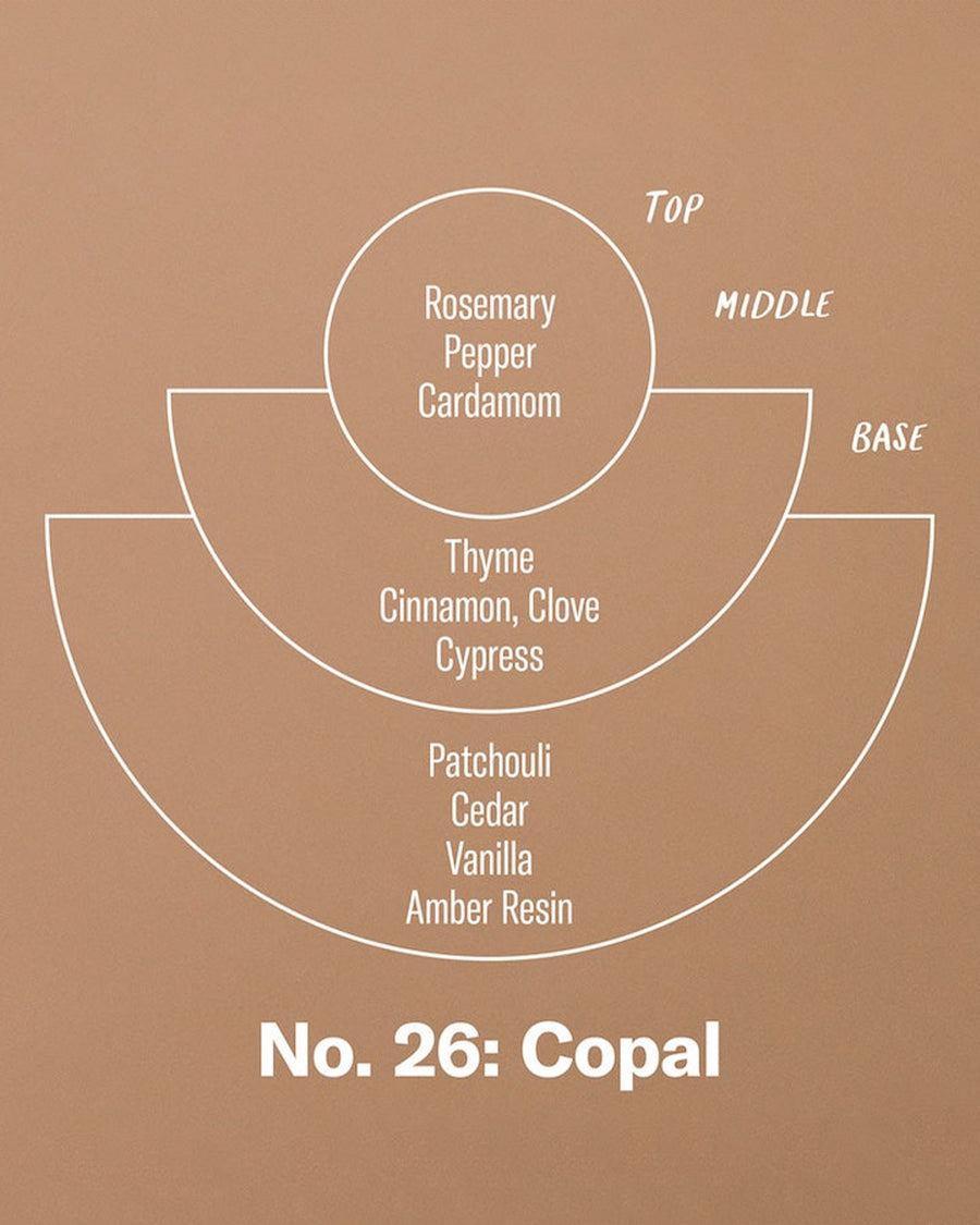 top: rosemary, pepper, cardamom
middle: thyme, cinnamon, clove, cypress
base: patchouli, cedar, vanilla, amber resin