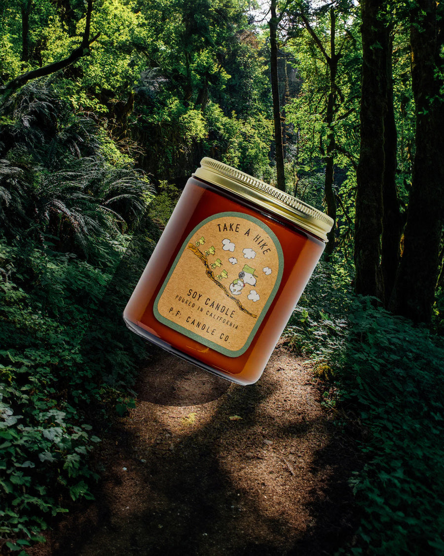 7.2 oz peanuts standard candle with outdoorsy scent  on a forest background