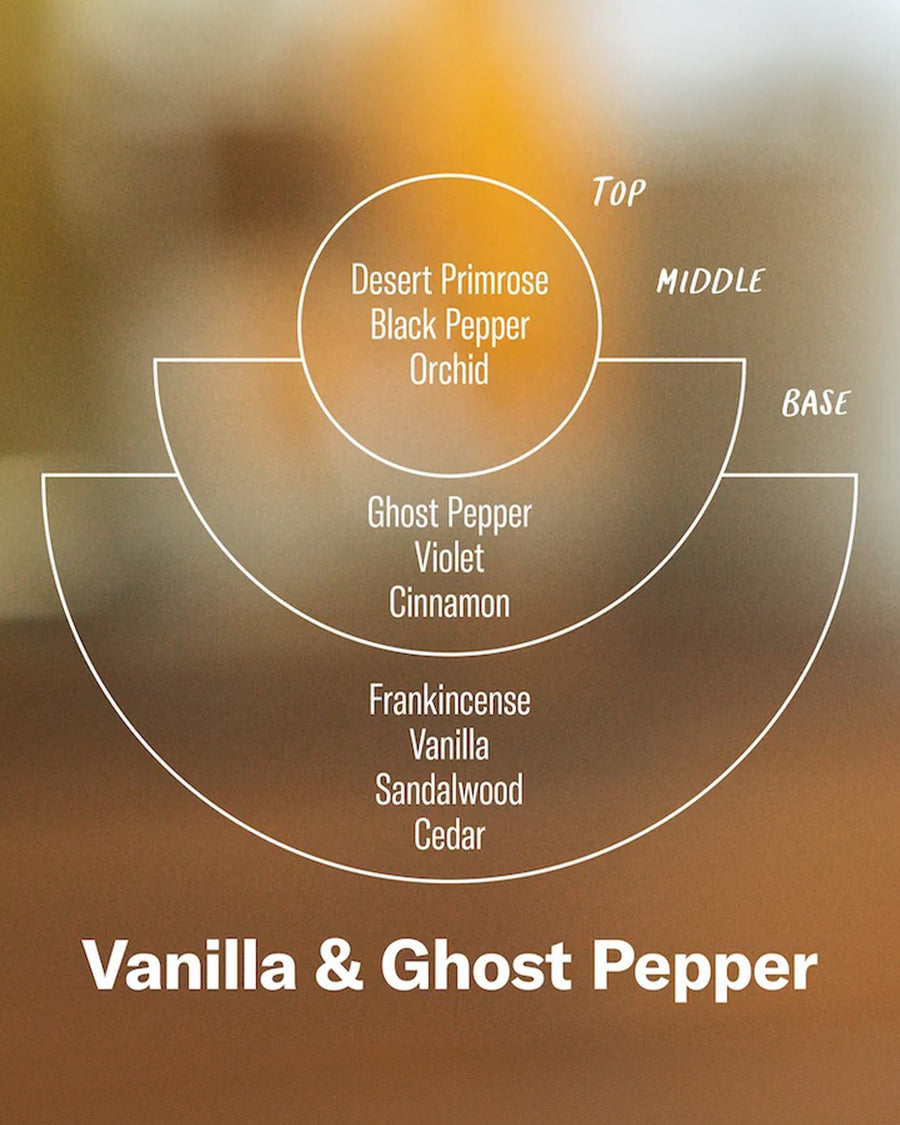 top: desert primrose, black pepper, orchid
middle: ghost pepper, violet, cinnamon
base: frankincense, vanilla, sandalwood, cedar