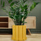 yellow textured planter with drip tray with plant inside