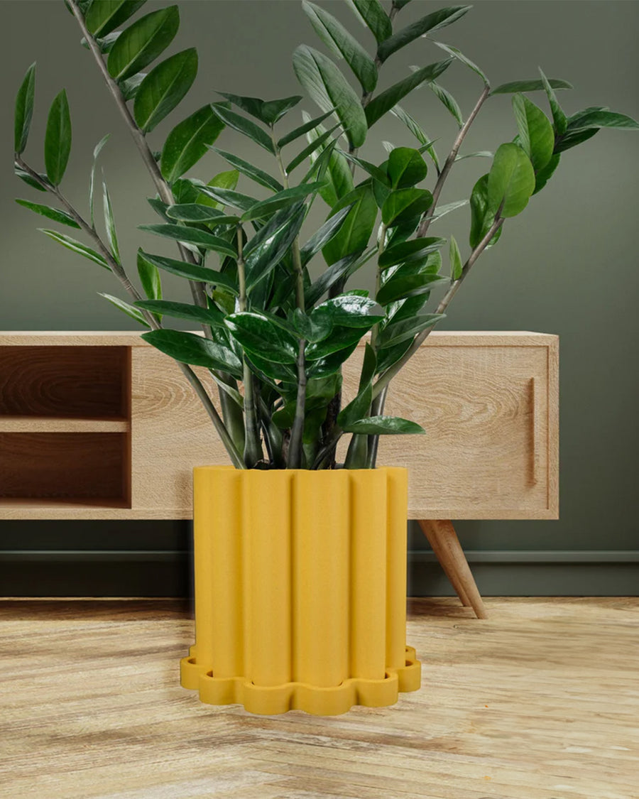 yellow textured planter with drip tray with plant inside