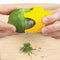 model zesting a lime