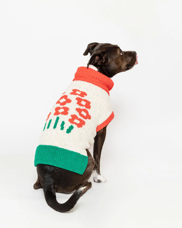 dog wearing green, cream, and red pet sweater with red flower print