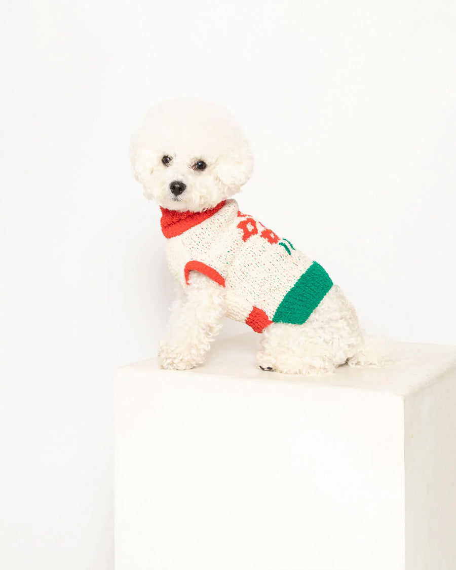 small dog wearing green, cream, and red pet sweater with red flower print