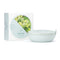 mint ceramic lunch bowl with box