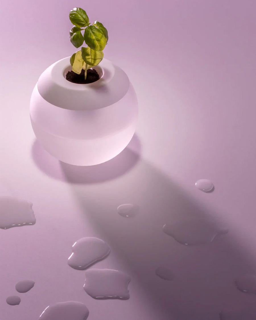 clear hydropod plant grower on a purple ground