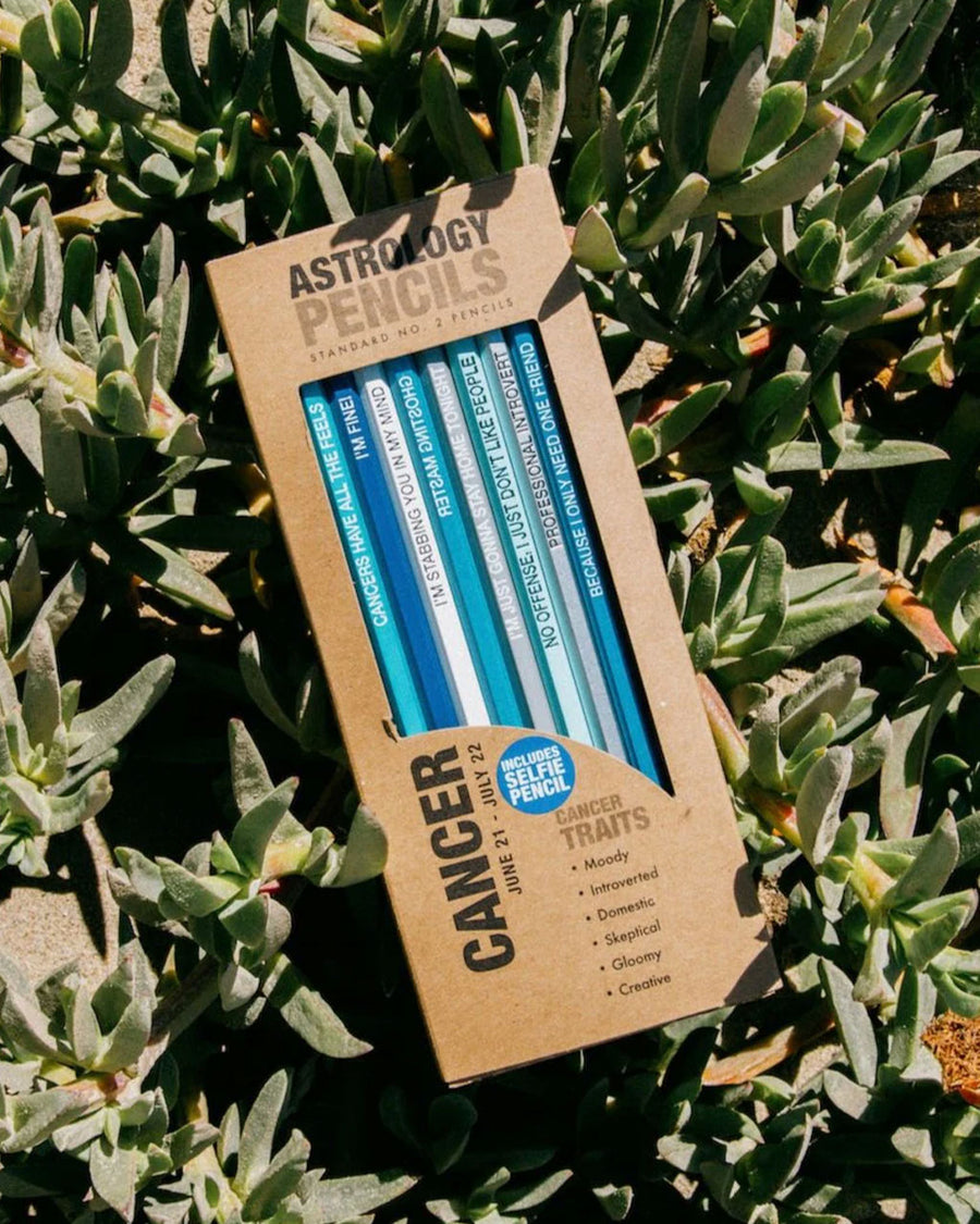 box of 8 wooden pencils with cancer traits on them in succulents