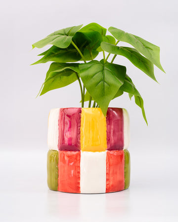 colorblock checker ceramic planter with a plant inside