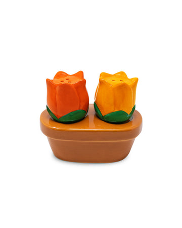 red and orange tulip salt and pepper shakers with brown pot tray