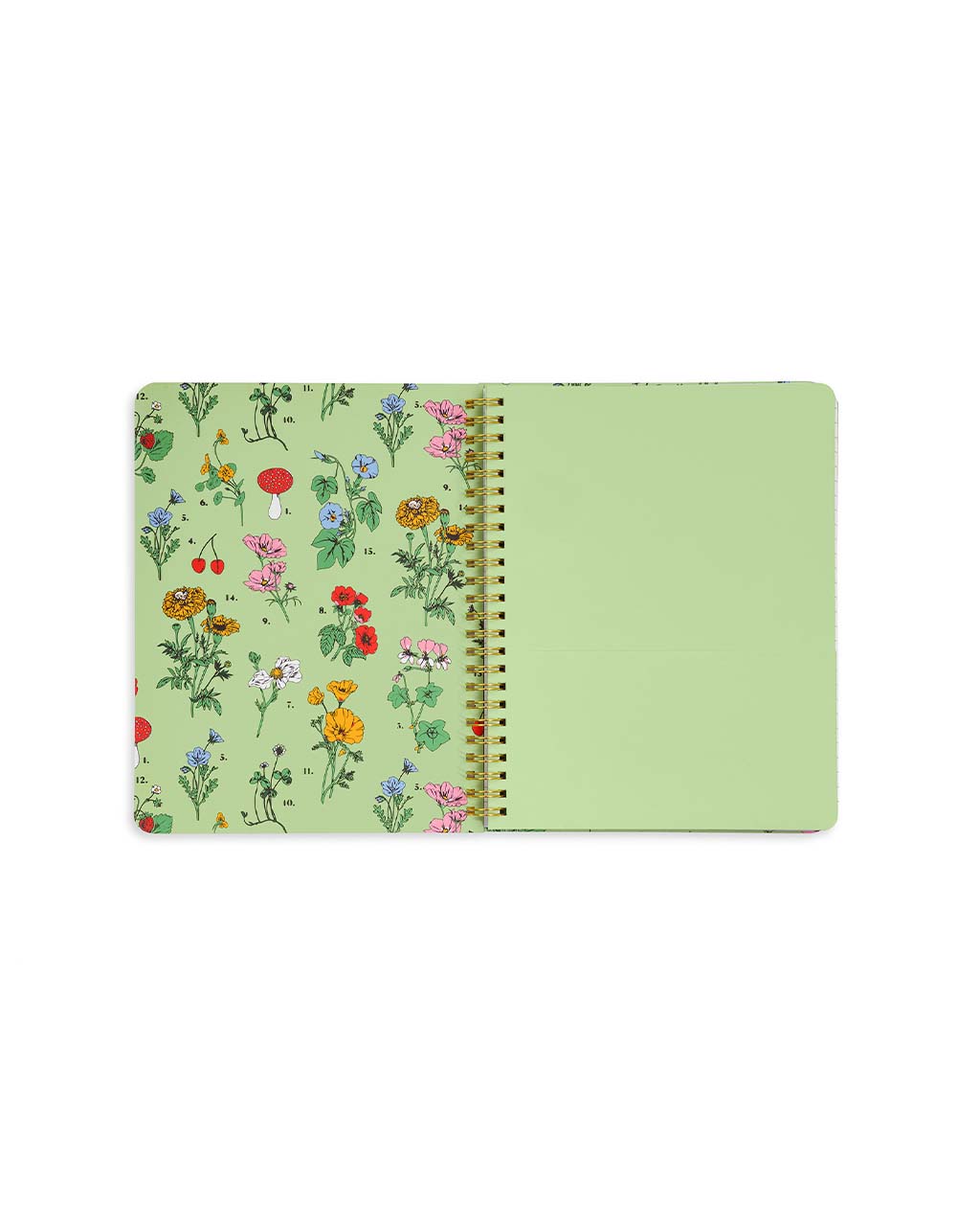 Rough Draft Mini Notebook - Botanical Green – Ban.do