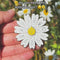 Spinning Daisy Enamel Pin