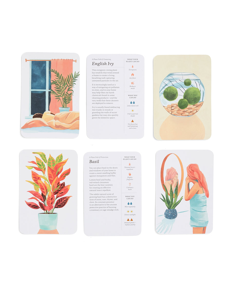 informational cards from plantfulness